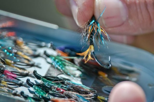 The salmon fly has captivated anglers and tyers for centuries. — Photo by Paul Smith Special to The Telegram